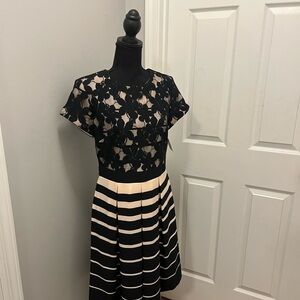 Danny & Nicole black/blush dress